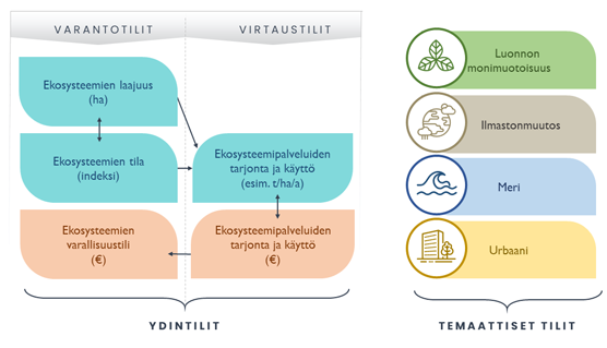 ekosysteemitilinpito infograafina, josta näkee varantotilit sekä virtaustilit, jotka voidaan jaotella ydintileihin. Lisäksi näkyy temaattiset tilit, joita voivat olla esimerkiksi luonnon monimuotoisuus, ilmastonmuutos, meri sekä urbaani-tili.